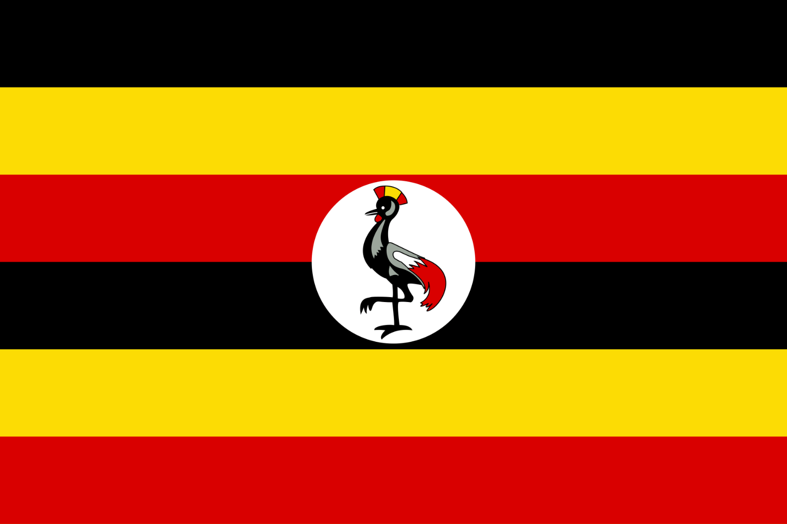 Elevating Rehabilitation Education with New Bachelor's Programmes in Uganda